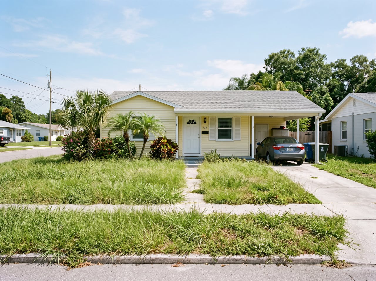 WillScape transformation — before